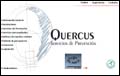 quercus